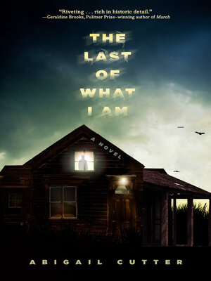 cover image of The Last of What I Am